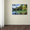 thumbnail image 3 of Trademark Fine Art "Tiger Lake" Canvas Art by Philippe Hugonnard, 3 of 3