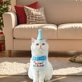 thumbnail image 4 of Pet Collars Product Category Indoor Outdoor Festive Birthday Theme Accessory for Cats and Dogs TPR Polyester, 4 of 5