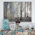 thumbnail image 3 of Designart Dark Morning in Forest Panorama FLOAT FRAME WALL ART, 3 of 3