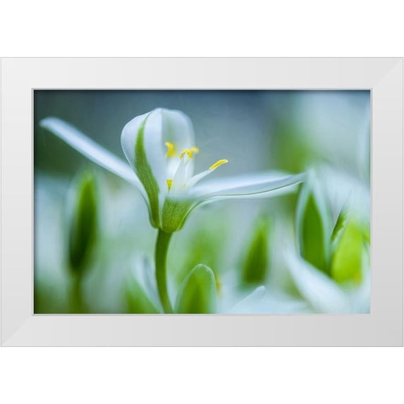 Eisenmann, Ulrike 32x23 White Modern Wood Framed Museum Art Print Titled - Emerging