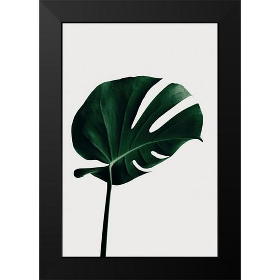 Artographie Studio 13x18 Black Modern Framed Museum Art Print Titled - Monstera Natural 02