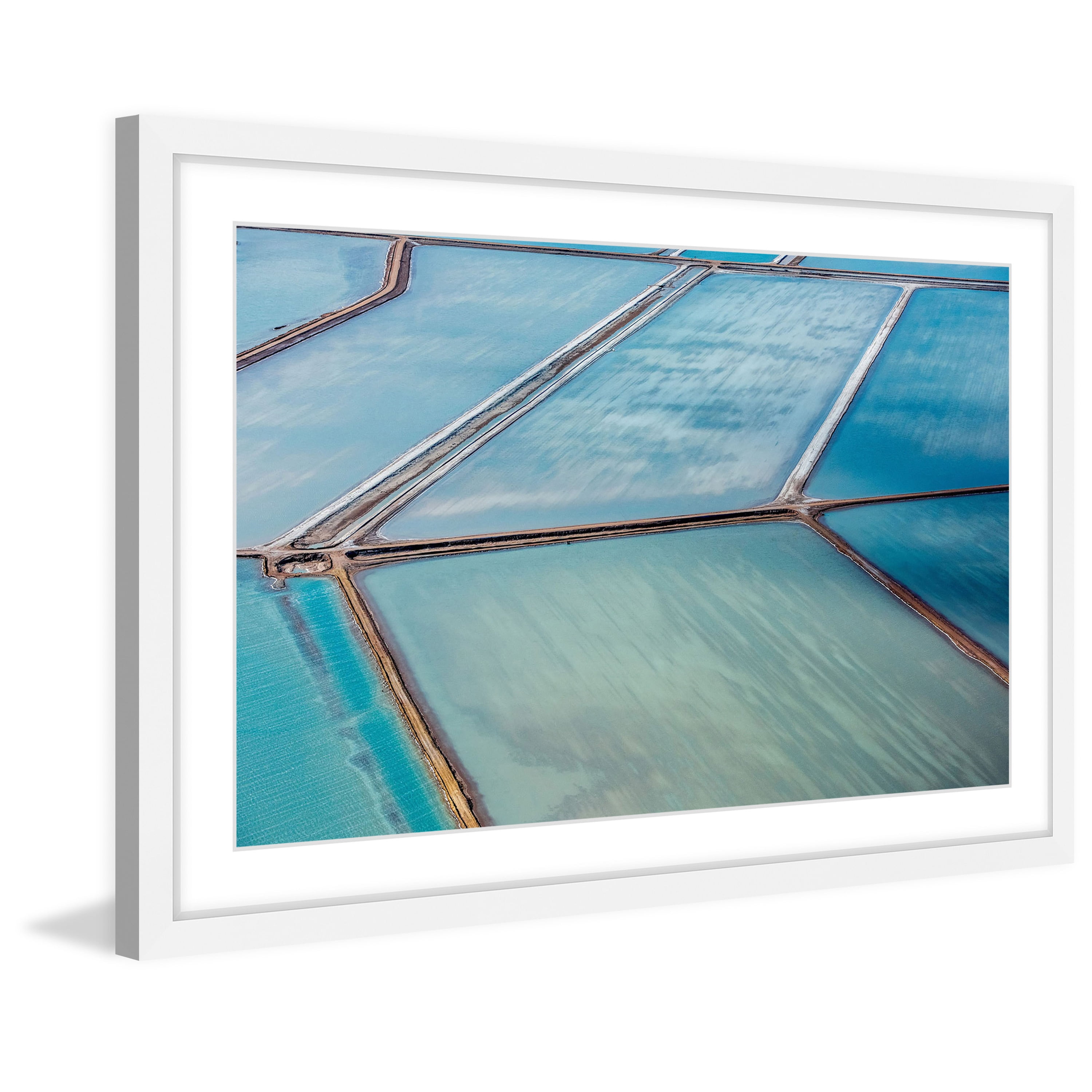 Marmont Hill "Water Purification" Framed Painting Print