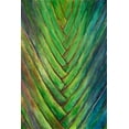 thumbnail image 2 of Wang, Melissa 23x32 Black Ornate Wood Framed with Double Matting Museum Art Print Titled - Tropical Crop I, 2 of 4