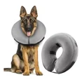 thumbnail image 1 of Collar Isabelino Para Perro O Gato Mascretta Dona Isabelina Color Gris Tamaño del collar L, 1 of 6