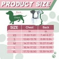 thumbnail image 2 of GASTROPOD 2Pcs Dog Dresses for Small Dogs Girl,Cloth Dog Costume,Breathable Cozy with Layered Mesh Puppy Clothes,S, 2 of 7
