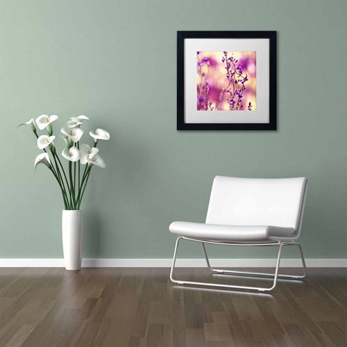 Trademark Fine Art "Summer Melodies" Canvas Art by Beata Czyzowska Young White Matte, Black Frame
