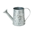 thumbnail image 1 of Regadera antigua, jarra de riego, florero seco, cubo con arreglo Floral, adorno de escritorio, diseño Retro para granja, 1 of 8