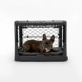 Diggs Revol Small Dog Crate, Charcoal Portable Travel Dog Crate with