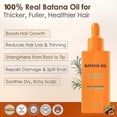 thumbnail image 2 of Natural Hair Growth Kit with Organic Oil and Mask for Strong, Thick Hair, Pure Formula Inspired by Traditional Honduran Recipes, 2 of 5