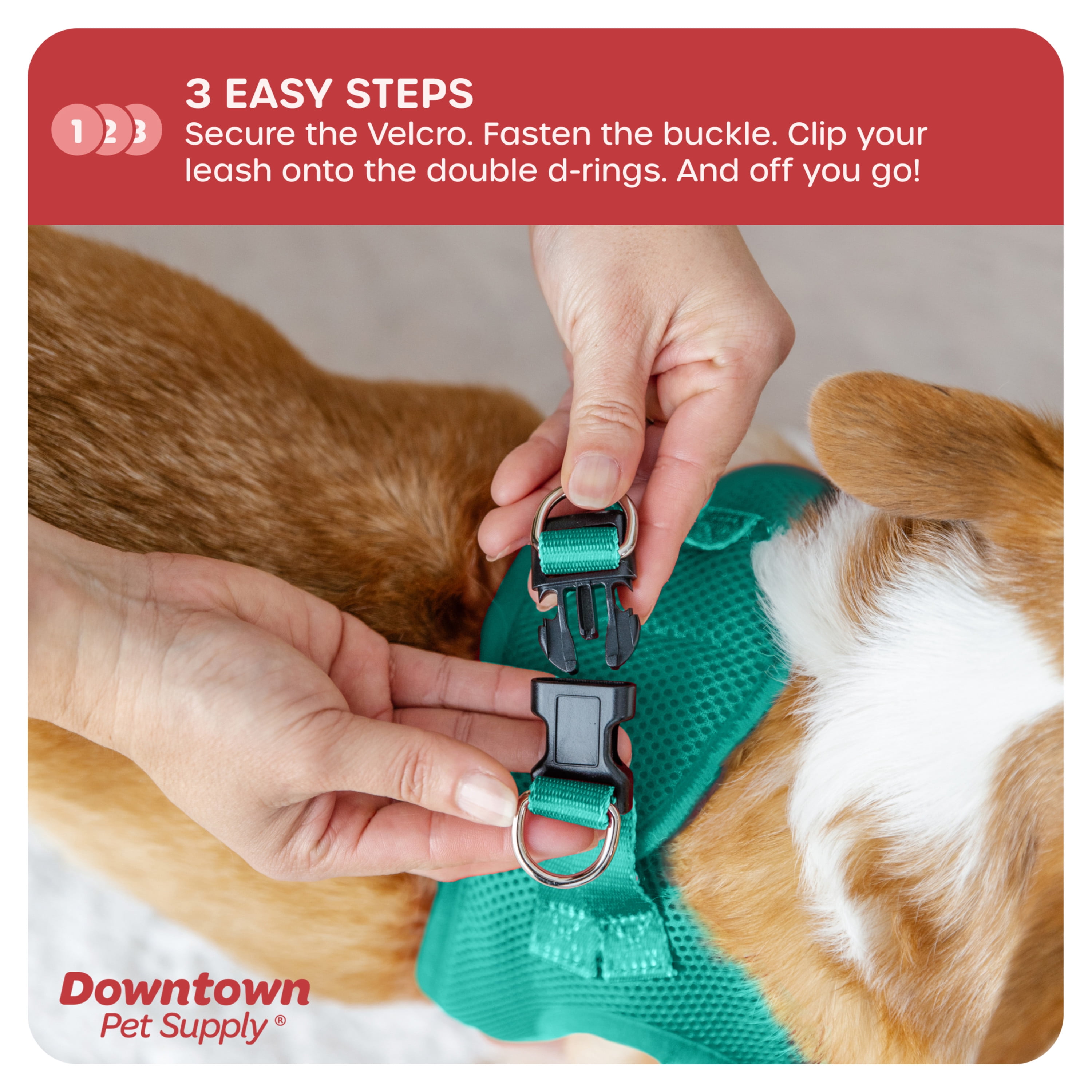 Downtown Pet Supply Step In Dog Harness No Pull, XX-Large, Bermuda Blue