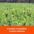 thumbnail image 4 of Pennington Rackmaster Trophy Radishes Food Plot Seed Mix 5 lb, 4 of 11