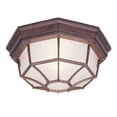 thumbnail image 1 of Two Light Outdoor Ceiling Mount, 1 of 1