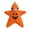 109, variant on JCCXIN Baby Halloween Pumpkin Jumpsuit Hooded Onesie Zip-Up Starfish Shape Playwear for for Festival Party & Photoshoot