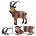 thumbnail image 3 of Animaux de Volaille Réalistes Simulation Chèvre Alpaga Agneau Antilope Ranch Modèle de Volaille Figurines d'Action en PVC Jouet Éducatif pour Enfants, 3 of 7
