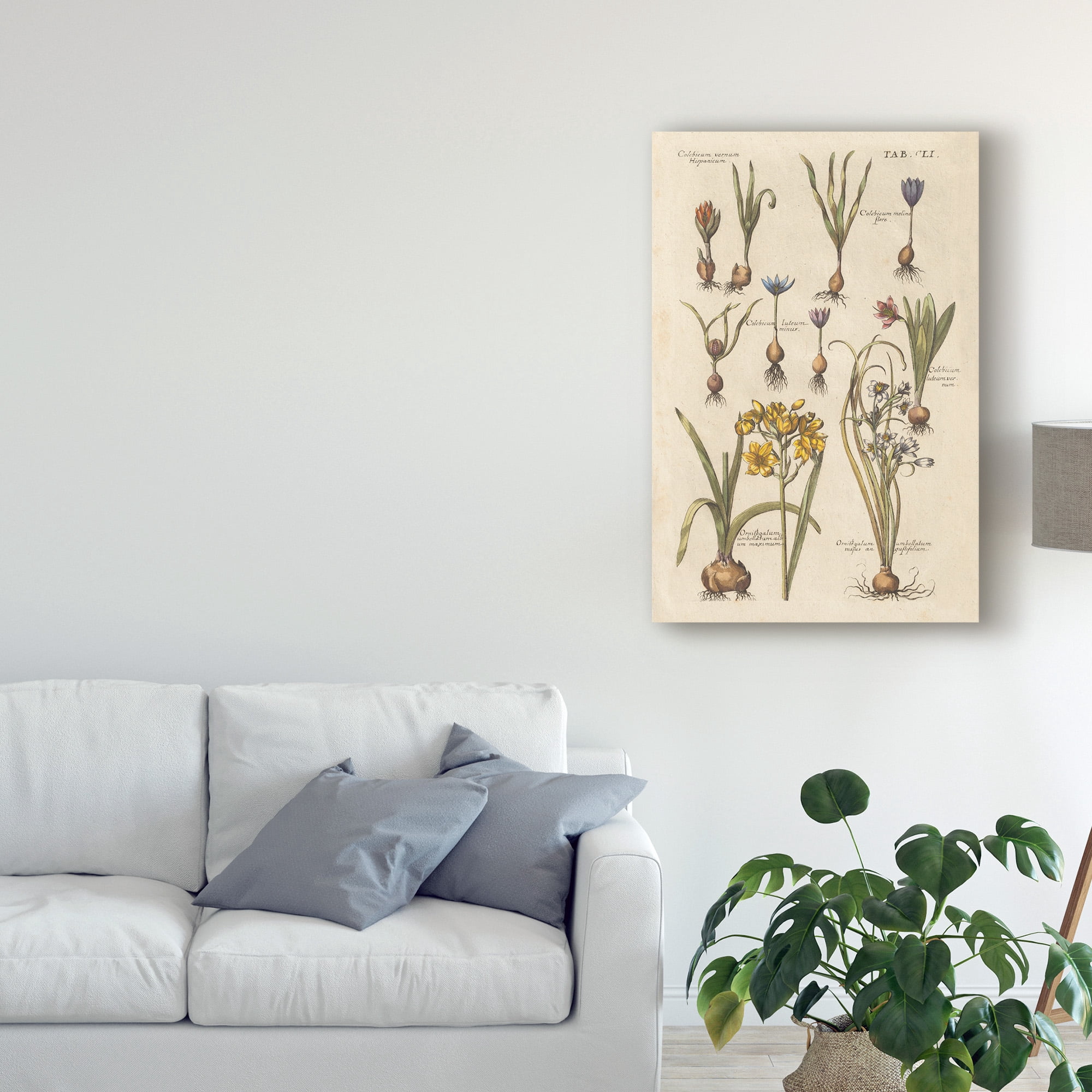 Trademark Fine Art 'Vintage Florilegium II' Canvas Art by Wild Apple Portfolio