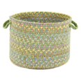 thumbnail image 1 of Rhody Rug PT44B018X012 18 x 12 in. Playtime Lime & Multicolor Basket, 1 of 1