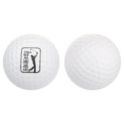PGA TOUR Tee-Up Practice New Foam Golf Balls, 12 Pack, White