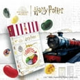 Jelly Belly Bertie Bott’s Every Flavor Beans 20 Harry Potter Flavors (Pack of 2)