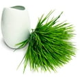 thumbnail image 3 of 20 Bundles UV Resistant Artificial Fake Realistic Silk Flowers Plastic Plants for Outdoor Window Box Front Porch Planter Spring Decor, 3 of 10