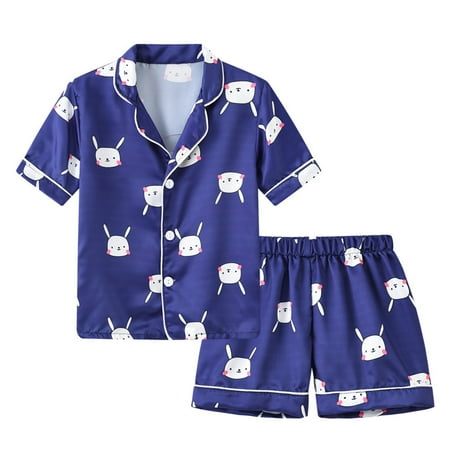 

DNDKILG Toddler Baby Girls Boy T Shirts and Shorts Pajamas Set Cartoon Animal Outfits Short Sleeve Clothes Set Summer with Blue 1Y-6Y 100