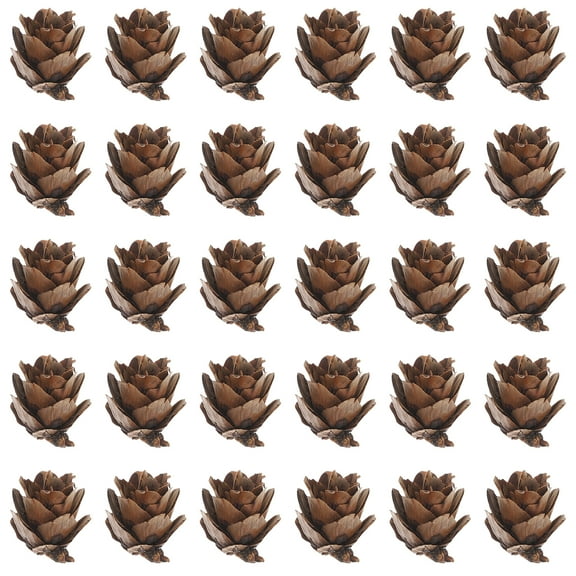 Masteelf  100 Pcs Rustic Wooden Pinecons Songhwa Photo Props