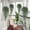 Purple, variant on Dpityserensio 4pc Artificial Artificial Hanging Flowers Artificial Flower Vines Chlorophytum Plastic Artificial Flowers Outdoor Flowers Fall Decor