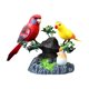 thumbnail image 1 of Mascota electrónica decorativa para el hogar y oficina, juguete interactivo para niños, regalo de cumpleaños, pájaro cantor activado por sonido., 1 of 9