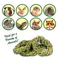 thumbnail image 4 of Timothy Rings - Natural and Unique Treat for Rabbits, Guinea Pigs, Hamsters, Chinchillas, Etc.…, 4 of 8