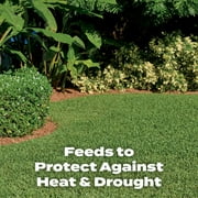 Scotts Turf Builder Southern Lawn Fertilizer, 15,000 sq. ft., 42.18 lb