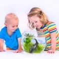 thumbnail image 3 of Imitado de bagre adorno falso pescado juguete creativo niños juguete decoración del hogar, 3 of 7