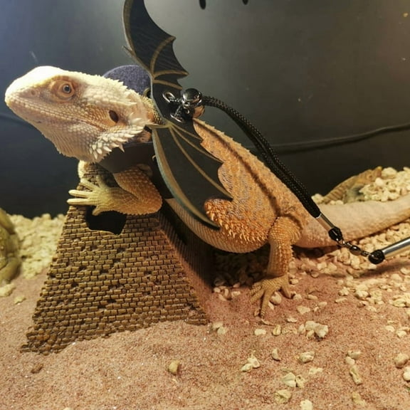 Lizard Harness Leash Set, Climbing Pet Going Out Leather Wing Chest Harness, Squirrel Traction Rope Gold