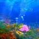 thumbnail image 3 of Adorno de anémona, adorno de acuario detallado, crea un efecto brillante MFZFUKR 220786-3, 3 of 8