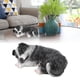thumbnail image 5 of Adorno Para Perro, Estatua De Border Collie Duradera Para El Hogar, 5 of 7