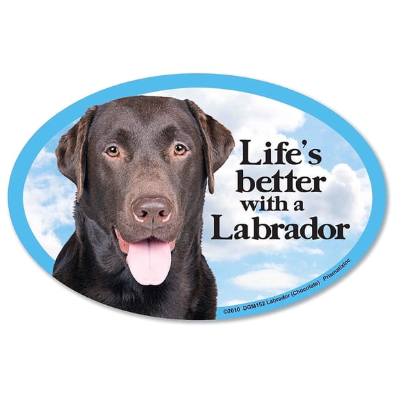 Prismatix Labrador Retriever (Chocolate) Oval Dog Vinyl Refrigerator Magnets