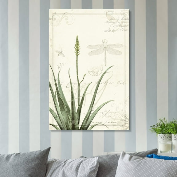 wall26 Canvas Wall Art - Vintage Style Aloes Plant - Giclee Print Gallery Wrap Modern Home Art Ready to Hang - 12x18 inches