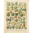 thumbnail image 2 of French Fruit Chart Poster Print by Gwendolyn Babbitt, 2 of 2