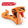 thumbnail image 3 of Robo Alive King Cobra Snake Electronic Robot Toy, Realistic Moving by ZURU, Ages 3+, 3 of 10
