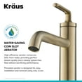 thumbnail image 5 of Ramus™ Single Handle Bathroom Sink Faucet with Lift Rod Drain in Brushed Gold (2-Pack), 5 of 11