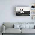 thumbnail image 2 of Trademark Fine Art 'Flirt White Horse' Canvas Art by Aledanda, 2 of 4