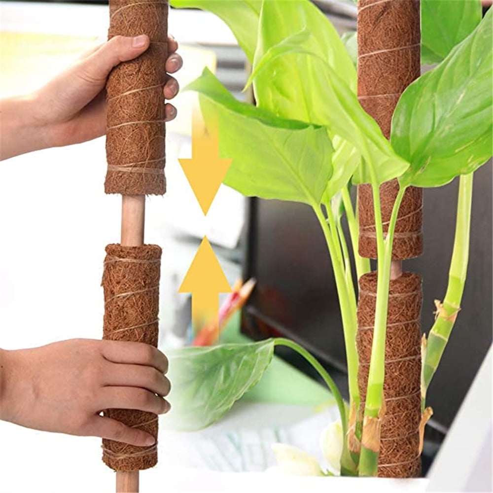 (2Pcs)Coir Moss Pole Stick, 12�� Plant Climbing Support (2Pcs)Coir Moss Pole Stick, 12�� Plant Climbing Support