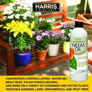 Harris 100% Cold Pressed Filtered Neem Oil & Insecticide/Miticide/Fungicide, 12 oz