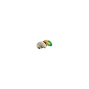 Learning Resources Cross-Section Brain Model - Anatomy Classroom Must Haves, Ages 7+