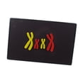 thumbnail image 2 of DOLITY Anatomical Human Chromosome Model Genetic Teaching Tool for School Classroom, 2 of 9