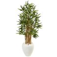 thumbnail image 1 of Nearly Natural 5816 4 ft. Bamboo Tree in White Oval Planter, 1 of 1