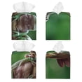 thumbnail image 2 of Lsque Australian White Tree Frog Sitting on Branch Printed Tissue Box Cover Holder, Facial Paper Organizer Dispenser,Square with Bottom Belt, PVC Leather Decorative Organizer, 2 of 8