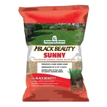Jonathan Green Black Beauty Sunny Premium Grass Seed Mixture, 1 lb