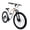 White, variant on 24 Inch Mountain Bike, Full Suspension 21-Speed Mountain Bicycle with Dual Disc Brakes, Carbon Steel Frame MTB Bike for Teenagers Adult Men Women, Silver