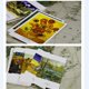 thumbnail image 4 of Juego de postales de obra de arte de Van Gogh, tarjeta de decoración, invitación, tarjeta de felicitación, regalo, tarjeta de bendición, tarjeta de mensaje de Navidad, 30 hojas, 4 of 4