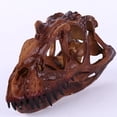thumbnail image 2 of Rongfmy Scale 1/10 Model Dinosaur Ceratosaurus Resin Education Tools Collection, 2 of 7