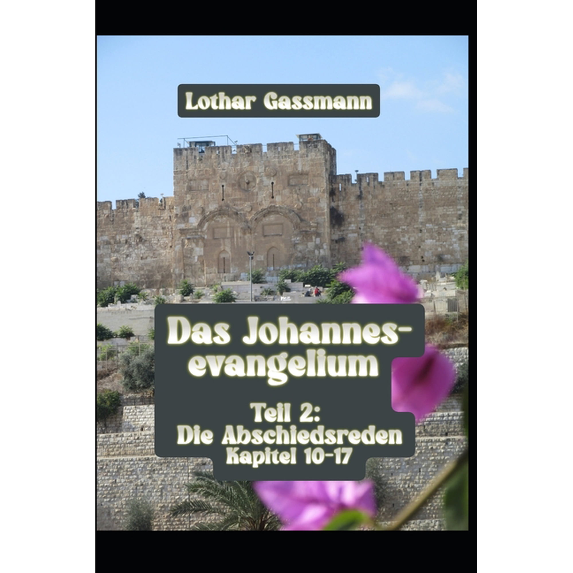 Das Johannesevangelium Das Johannesevangelium: Teil 2: Die Abschiedsreden Kapitel 10-17, Book 2, (Paperback)